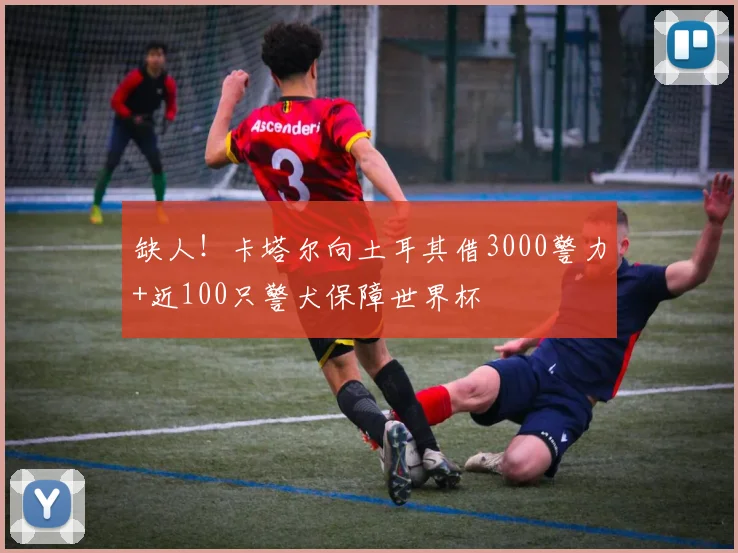 缺人！卡塔尔向土耳其借3000警力+近100只警犬保障世界杯